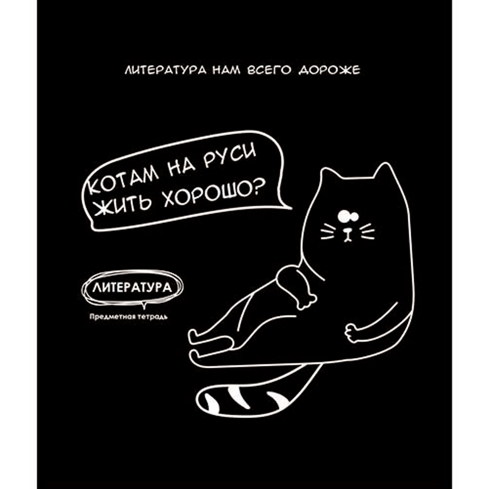 Тетрадь 48 л. клетка предметная Литература «Подслушано» Т48-1467